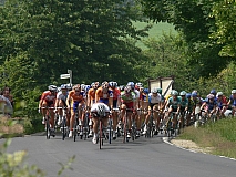P1050068.JPG