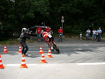 P1050282.jpg